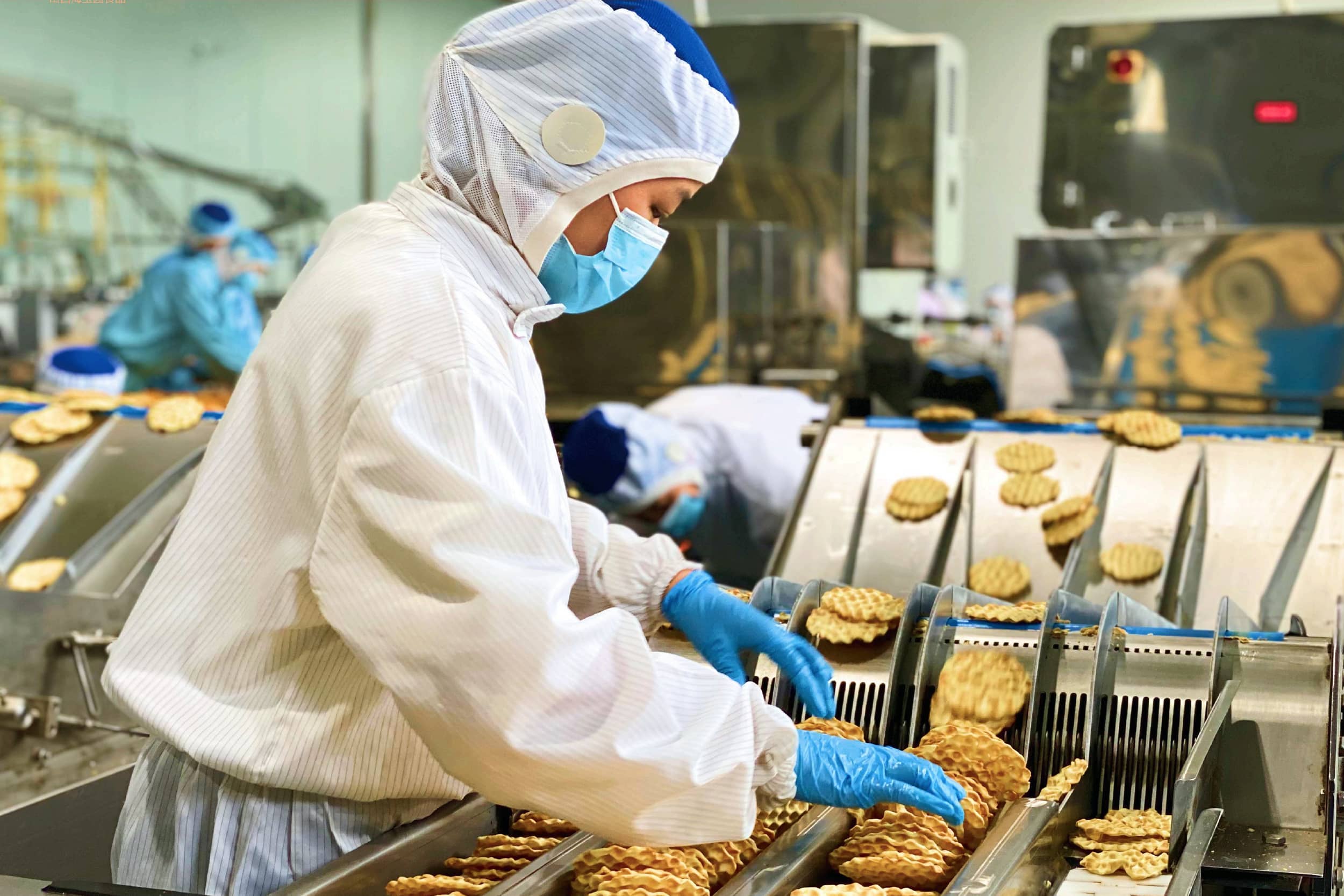 山西海王园食品